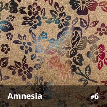 Amnesia 6